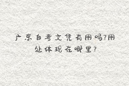 廣東自考文憑有用嗎?用處體現在哪里?